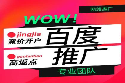 SEM推广优化策略：实战案例分析